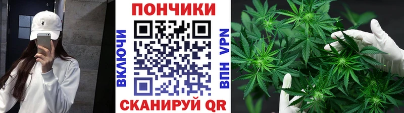 Шишки марихуана Bruce Banner  Купить  Свободный 